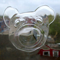 Teddybeer van transparant plastic voor raam met vaag uitzicht.